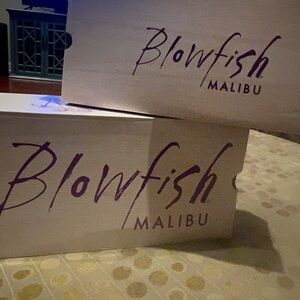 2 pair of brand new Blowfish sandals